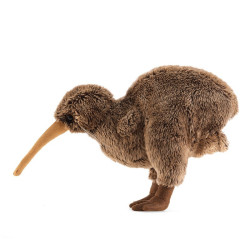 Títere. KIWI