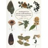 Libro. ANTOLOGÍA DE LAS POETAS ESTADOUNIDENSES. DE EMILY DICKINSON A SYLVIA PLATH (1830-2012)