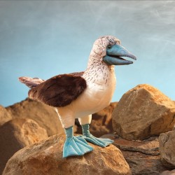 Títere. PIQUERO DE PATAS AZULES