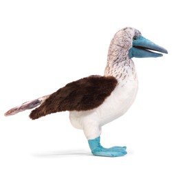 Títere. PIQUERO DE PATAS AZULES