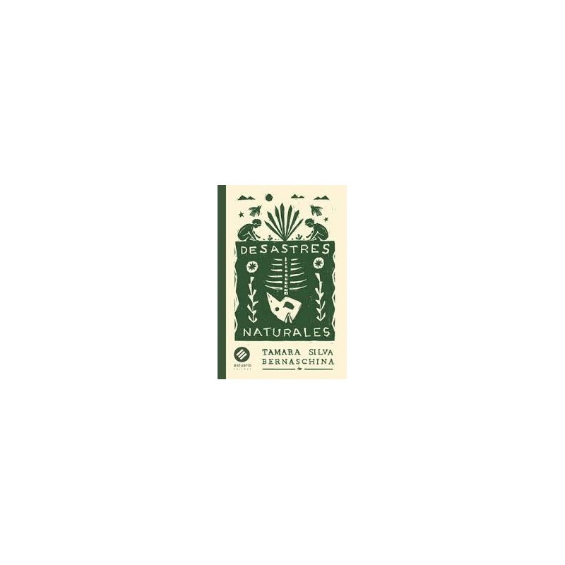 Libro. DESASTRES NATURALES. Tamara Silva Bernaschina