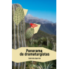 Panorama de dramaturgistas