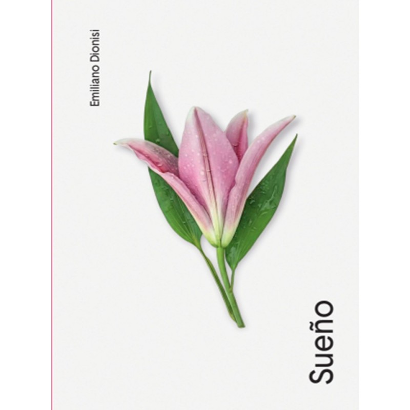 Libro. SUEÑO. Emiliano Dionisi