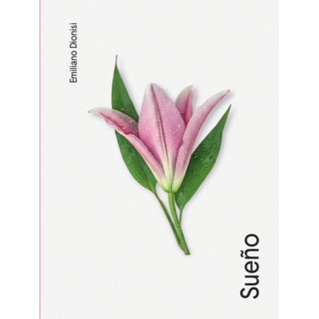 Libro. SUEÑO. Emiliano Dionisi
