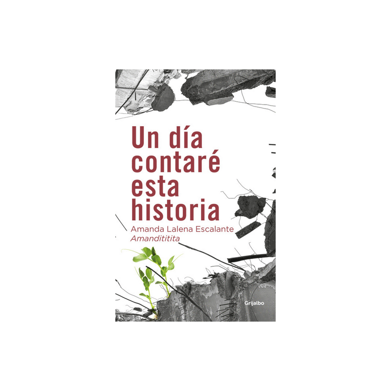Libro. Un día contaré esta historia, Amandititita