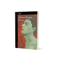 Libro. Satélite. Alonso Burgos.