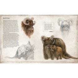 Libro. STAR WARS BESTIARIO Vol. 1