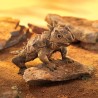 Títere. LAGARTO CORNUDO