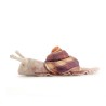 Títere de dedo. MINI CARACOL