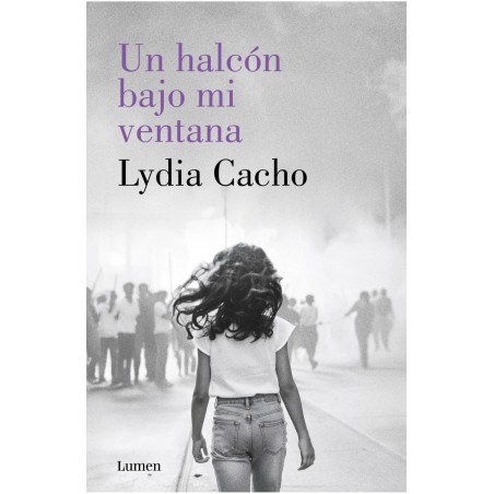 Libro. Un halcón bajo mi ventana