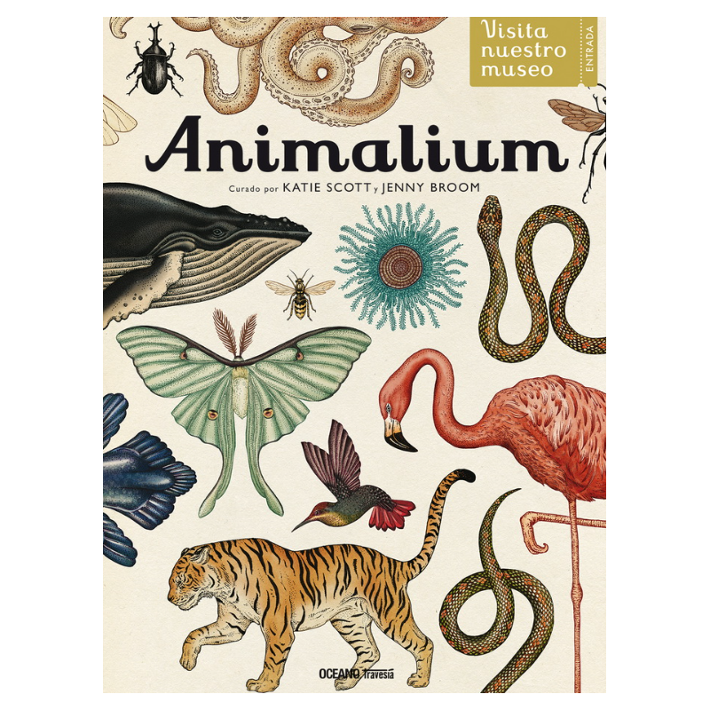 LIBRO. Animalium