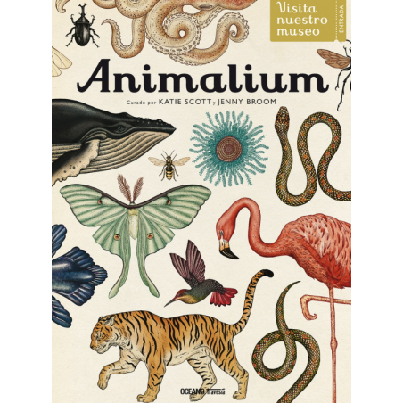 LIBRO. Animalium