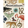LIBRO. Animalium