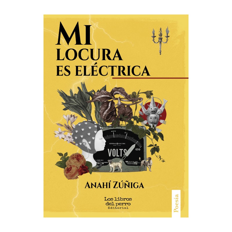 Libro. Mi locura es eléctrica. Anahí Zúñiga.