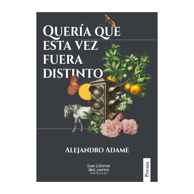 Libro. Quería que esta vez fuera distinto. Alejandro Adame