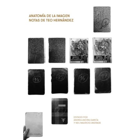 Libro. Anatomía de la imagen