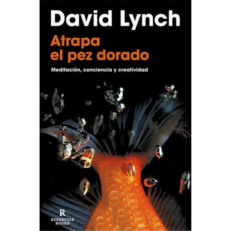 Libro. ATRAPA EL PEZ DORADO. David Lynch