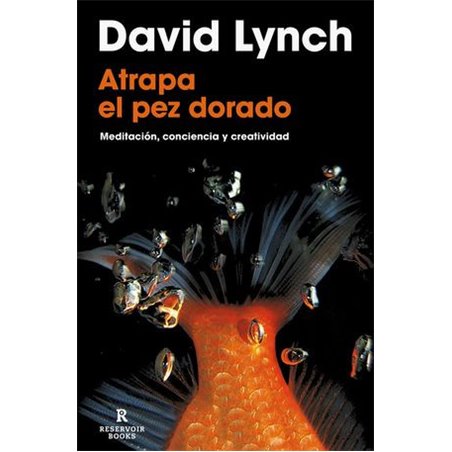 Libro. ATRAPA EL PEZ DORADO. David Lynch